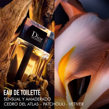 PERFUME DIOR HOMME HOMBRE EDT 100 ML - 4