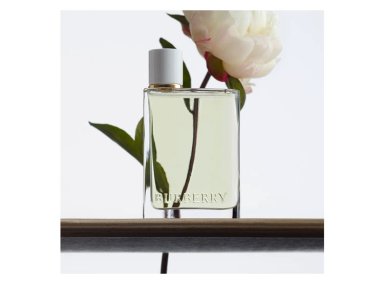 PERFUME MUJER BURBERRY HER EAU DE TOILETTE 100ML - 5