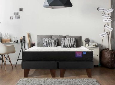 COLCHÓN FLEX THERAPEDIC PLUS 1.5 PLAZAS - 6