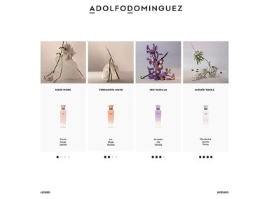 PERFUME ADOLFO DOMINGUEZ JAZMIN TONKA MUJER EDP 120 ML - 7
