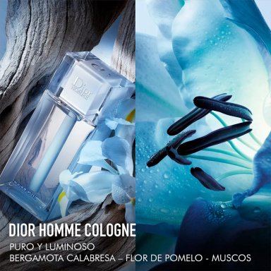 COLONIA DIOR HOMME COLOGNE HOMBRE EDC 200 ML - 4