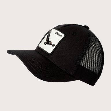 GORRA WILD LAMA CÓNDOR ORGÁNICO NEGRO - 2