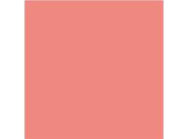 RUBOR DIOR ROUGE BLUSH 6.7 GR - 6