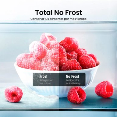 REFRIGERADOR BOTTOM FREEZER HISENSE RD-39WC 300L NO FROST PLATA - 7
