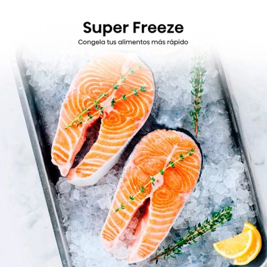 REFRIGERADOR BOTTOM FREEZER HISENSE RD-39WC 300L NO FROST PLATA - 8