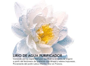 DESMAQUILLANTE DE OJOS Y LABIOS DIOR TRATAMIENTO BIFÁSICO CON EXTRACTO DE NENÚFAR BLANCO 125 ML - 3