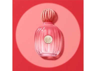 PERFUME ANTONIO BANDERAS THE ICON SPLENDID MUJER EDP 100 ML - 6