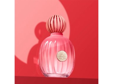 PERFUME ANTONIO BANDERAS THE ICON SPLENDID MUJER EDP 100 ML - 7