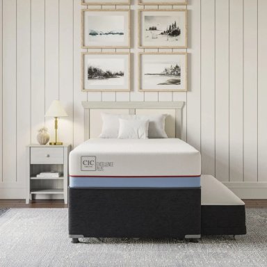 JUEGO DE DORMITORIO CIC CAMA DIVAN EXCELLENCE PLUS 1.5 PLAZAS NEGRO + RESPALDO VILLARRICA - 10