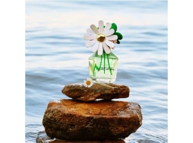PERFUME MARC JACOBS DAISY WILD EAU DE PARFUM PARA MUJER 100 ML - 4