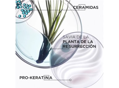 MÁSCARA REPARACIÓN CABELLO FRÁGIL Y DEBILITADO KÉRASTASE MASQUE FORCE ARCHITECTE RESISTANCE 200 ML - 3