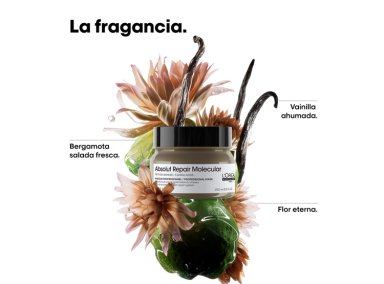 MÁSCARA ABSOLUT REPAIR LORÉAL PROFESSIONNEL MOLECULAR DE REPARACIÓN MOLECULAR PROFUNDA PARA CABELLO DAÑADO 250 ML - 3