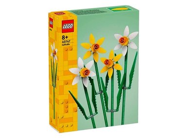 LEGO NARCISOS - 40747 - 1