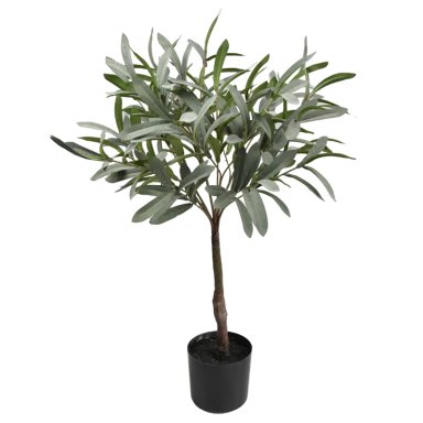 PLANTA DECORATIVA RIPLEY HOME OLIVO - 1