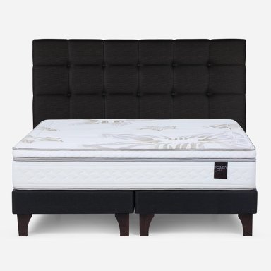 CAMA EUROPEA ROSEN ART 4 KING + RESPALDO ISSEY GRAFITO - 1