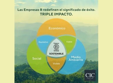 TOPPER CIC PREMIUM 1.5 PLAZAS 105X200 - 10