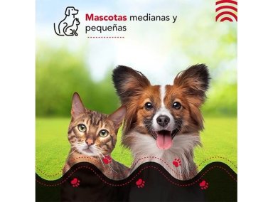 BEBEDERO PERROS Y GATOS THOR PET WATER FOUNTAIN THORBEN - 10