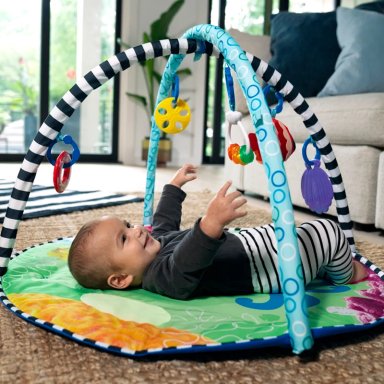 CENTRO DE ACTIVIDAD BABY EINSTEIN MULTICOLOR GIMNASIO WATER MAT 2 EN 1 - 10