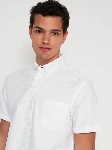 CAMISA HOMBRE KENNETH STEVENS ALGODÓN MANGA CORTA - 3