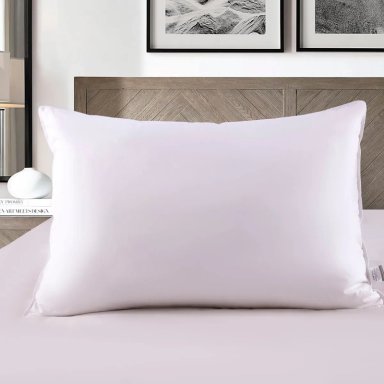 PACK 2 ALMOHADAS ILLUSIONS GANSO 50X70 CM - 1