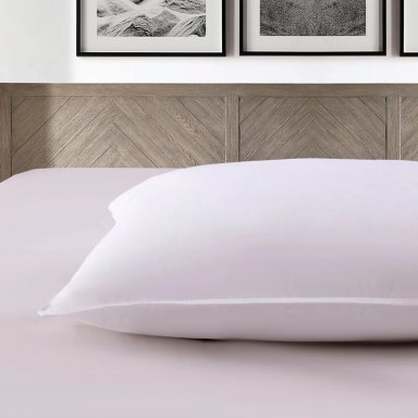 PACK 2 ALMOHADAS ILLUSIONS GANSO 50X70 CM - 2
