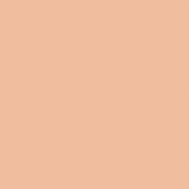 POLVOS FIJADORES DIOR FOREVER NUDE MATE - 11