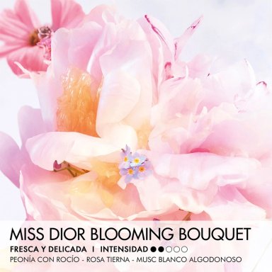 PERFUME EN BARRA DIOR MISS DIOR BLOOMING BOUQUET MUJER EDT 3.2 GR - 2
