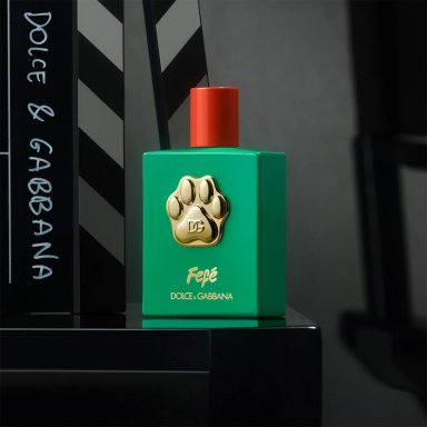 PERFUME PARA PERRO LIBRE DE ALCOHOL DOLCE&GABBANA FEFÉ 100 ML - 6