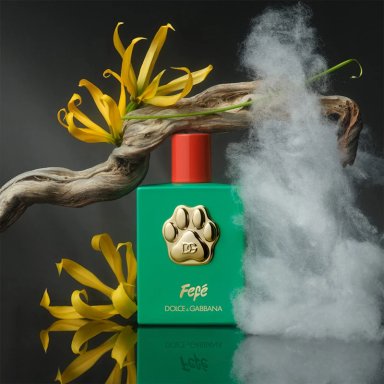 PERFUME PARA PERRO LIBRE DE ALCOHOL DOLCE&GABBANA FEFÉ 100 ML - 8