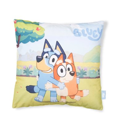 COJÍN BLUEY VELOUR ESTAMPADO 40X40 CM - 1
