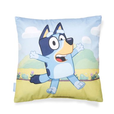COJÍN BLUEY VELOUR ESTAMPADO 40X40 CM - 2