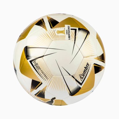 BALÓN DE FÚTBOL PUMA PRESTIGE - 3