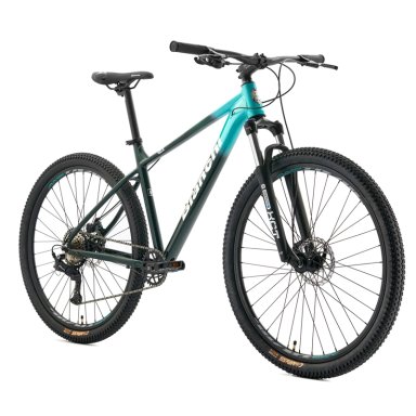 BICICLETA MOUNTAIN BIKE BIANCHI AGGRES ESSA VERDE TALLA M ARO 29 - 2