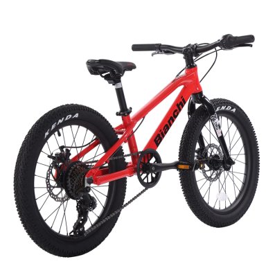 BICICLETA INFANTIL BIANCHI ALLOY ST ARO 20 - 3