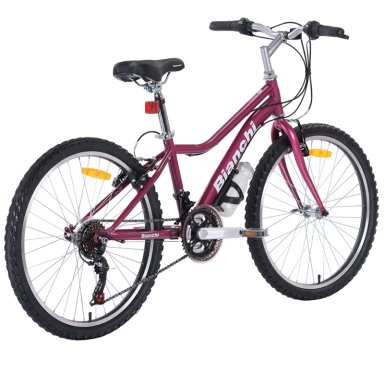 BICICLETA DE PASEO BIANCHI CLASSIC ST LADY ARO 24 - 2