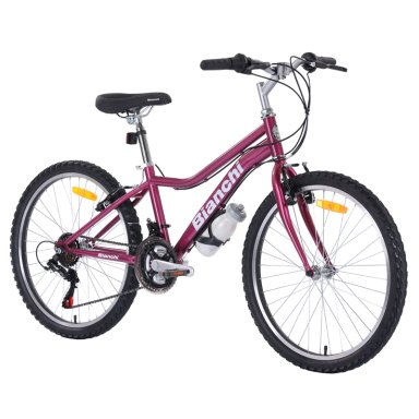 BICICLETA DE PASEO BIANCHI CLASSIC ST LADY ARO 24 - 3