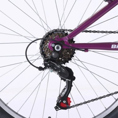BICICLETA DE PASEO BIANCHI CLASSIC ST LADY ARO 24 - 7