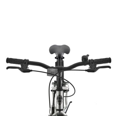 BICICLETA INFANTIL BIANCHI WOLF ST PLATA ARO 20 - 3