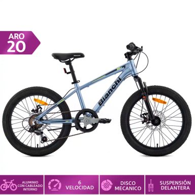 BICICLETA INFANTIL BIANCHI WOLF SX PLATA ARO 20 - 1