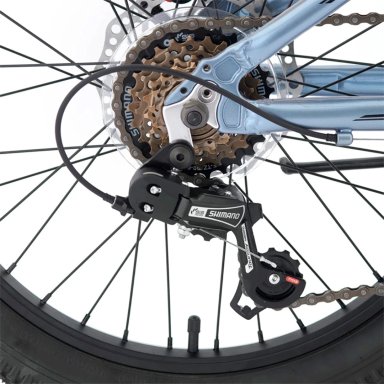 BICICLETA INFANTIL BIANCHI WOLF SX PLATA ARO 20 - 5