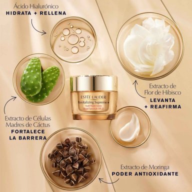 SET ESTÉE LAUDER SET MIRADA REVITALIZADA - 8