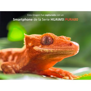 SMARTPHONE HUAWEI PURA 80 PRO 512GB 12GB RAM 50MP 6.8” - 7