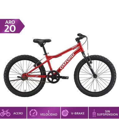 BICICLETA INFANTIL OXFORD DRAKO ARO 20 - 1