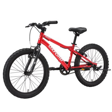 BICICLETA INFANTIL OXFORD DRAKO ARO 20 - 3