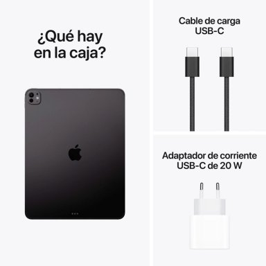 IPAD PRO M5 13” 256GB - 10