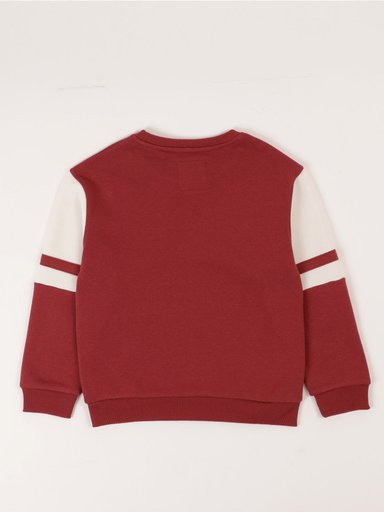 POLERON NIÑO HARVEST REGULAR FIT MANGA LARGA - 2
