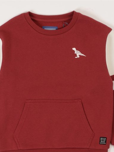 POLERON NIÑO HARVEST REGULAR FIT MANGA LARGA - 3