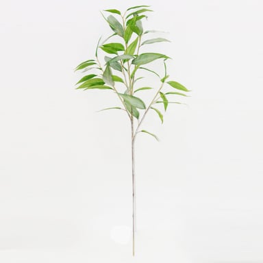PLANTA DECORATIVA RIPLEY HOME RAMA FOLLAJE OPACO - 1