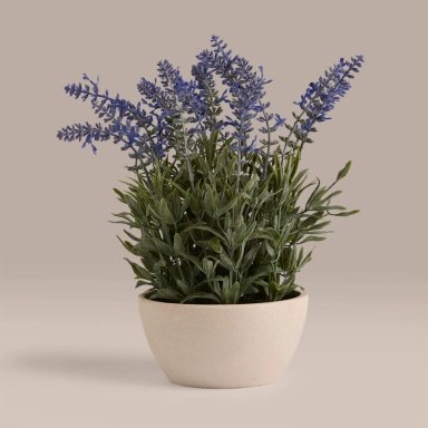 PLANTA DECORATIVA RIPLEY HOME MACETA LAVANDA - 1