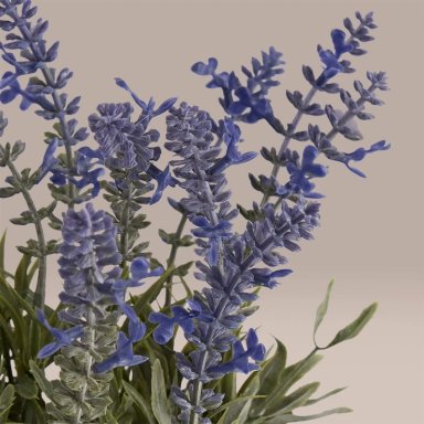 PLANTA DECORATIVA RIPLEY HOME MACETA LAVANDA - 2